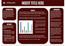 TAMU Research Presentation Poster Template 4